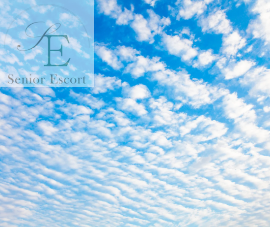 初秋という名の、まだ夏。季節に寄り添うエスコートの心得